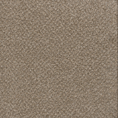 TOAST OF THE TOWN - Natural Cotton