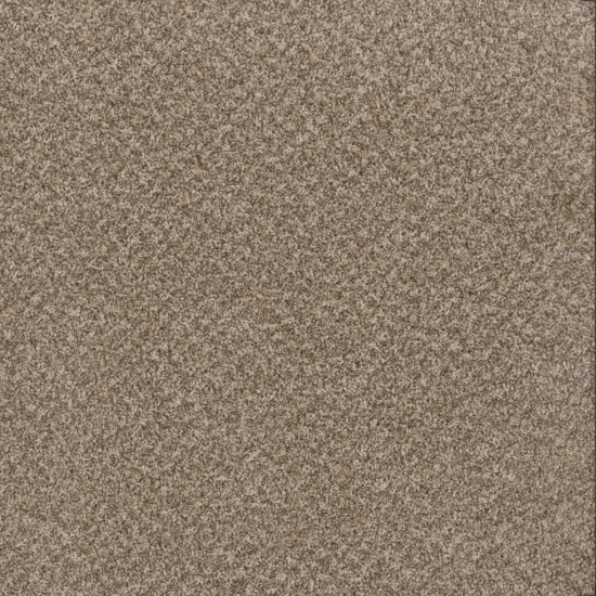 TOAST OF THE TOWN - Natural Cotton TOAST OF THE TOWN - Natural Cotton