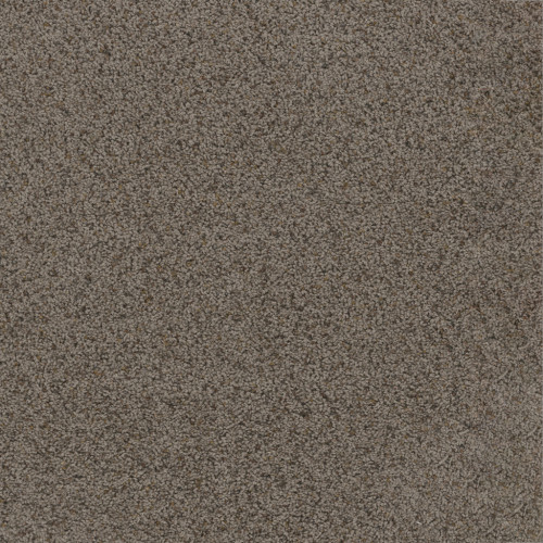 TOAST OF THE TOWN - Rugged Suede