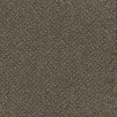 TOAST OF THE TOWN - Wrought Iron