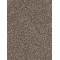 REFLECTIONS I - Smokey Taupe