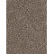 REFLECTIONS III - Smokey Taupe