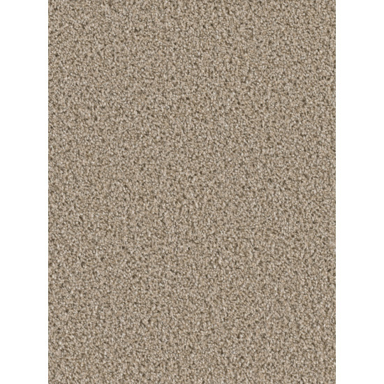 COSMOPOLITAN - Mocha COSMOPOLITAN - Mocha