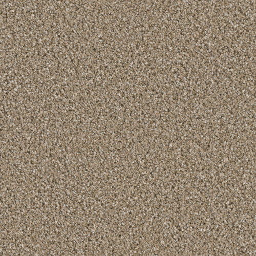COSMOPOLITAN - Acorn