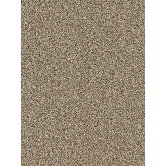 COSMOPOLITAN - Acorn COSMOPOLITAN - Acorn
