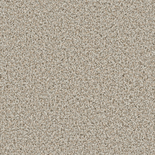 COSMOPOLITAN - Stucco