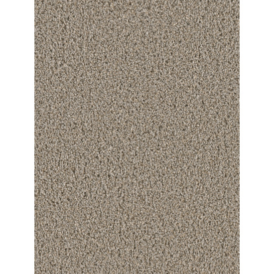 COSMOPOLITAN - Ash COSMOPOLITAN - Ash