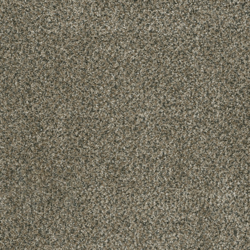 BRAZEN I - Feather Soft