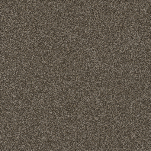 BLAZER I - French Roast