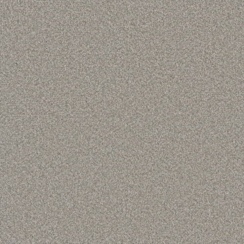 BLAZER I - Polar Cap