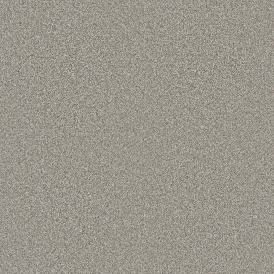BLAZER I - Polar Cap BLAZER I - Polar Cap