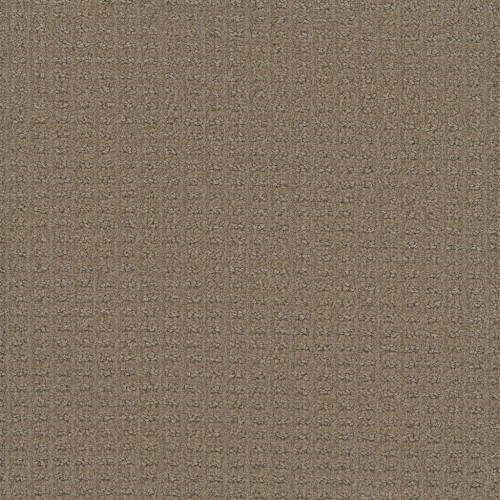PICTURE PERFECT - Western Clay