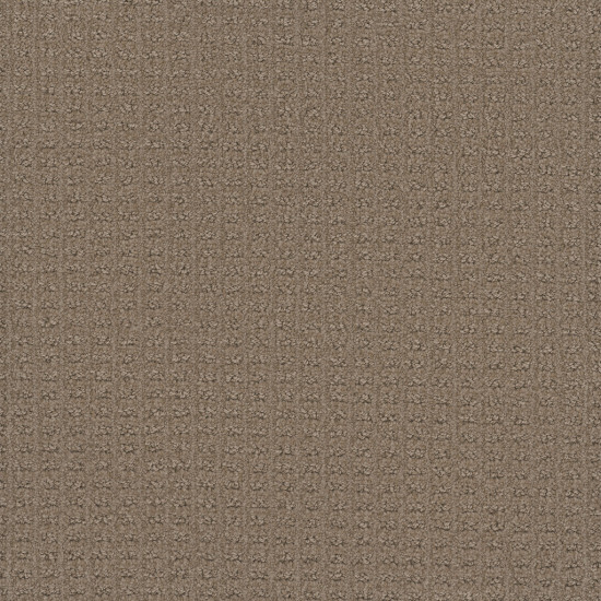 PICTURE PERFECT - Western Clay PICTURE PERFECT - Western Clay
