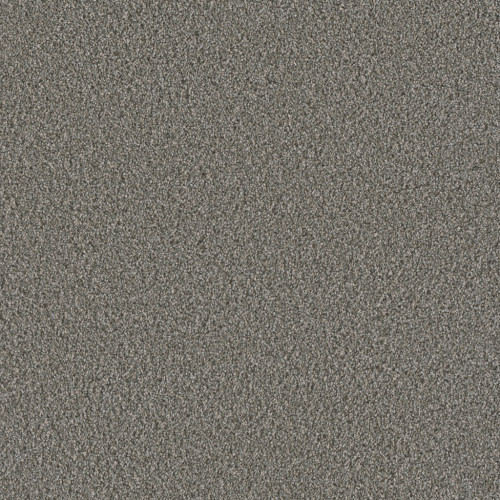 METROPOLIS I - Aloe