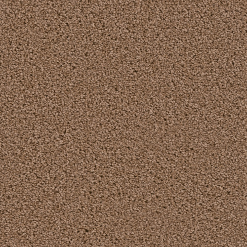 EXCEPTIONAL - Sable