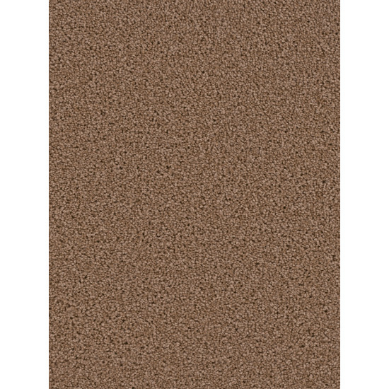 EXCEPTIONAL - Balsam EXCEPTIONAL - Balsam