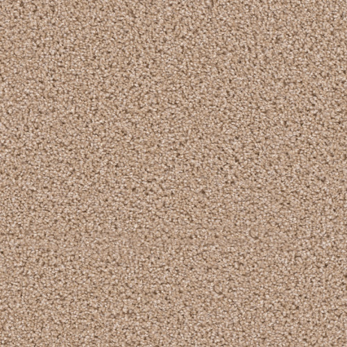 EXCEPTIONAL - Cashmere