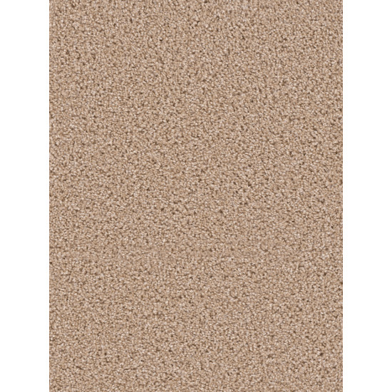 EXCEPTIONAL - Cashmere EXCEPTIONAL - Cashmere