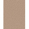 EXCEPTIONAL - Cashmere
