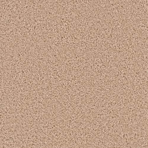 EXCEPTIONAL - Cookie Dough