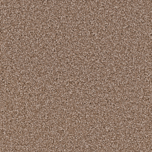 EXCEPTIONAL - Dove