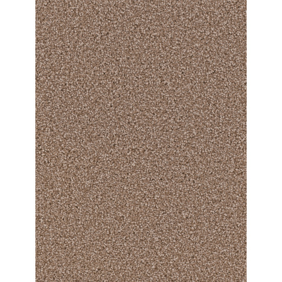 EXCEPTIONAL - Dove EXCEPTIONAL - Dove