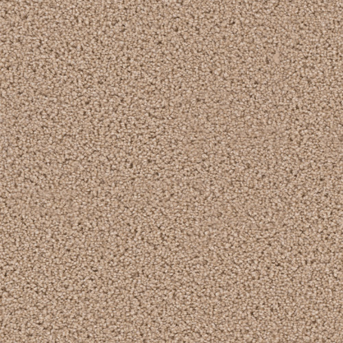 EXCEPTIONAL - Wheat