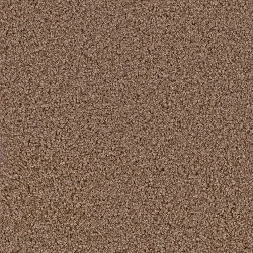 EXCEPTIONAL - Toffee Crunch