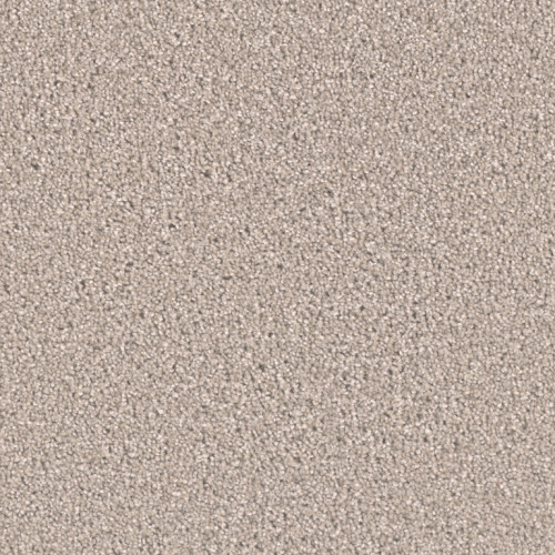 EXCEPTIONAL II - Clam Shell