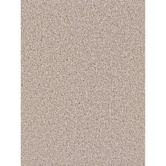 EXCEPTIONAL II - Clam Shell EXCEPTIONAL II - Clam Shell