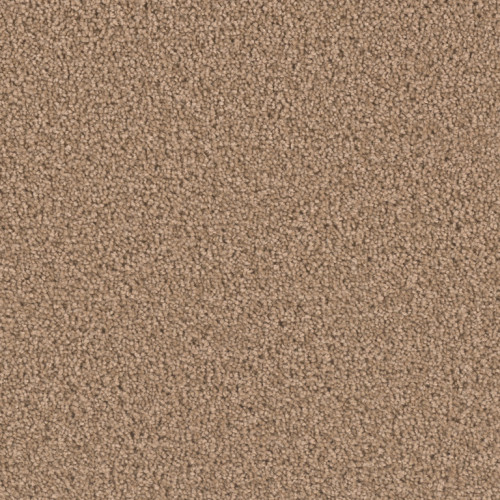 EXCEPTIONAL II - Sable