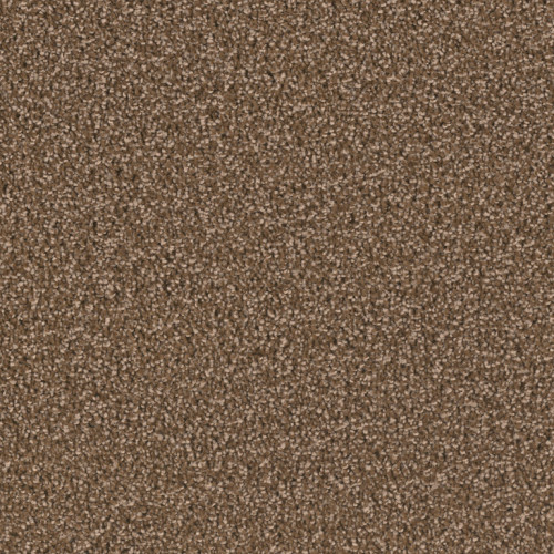 EXCEPTIONAL II - Black Walnut