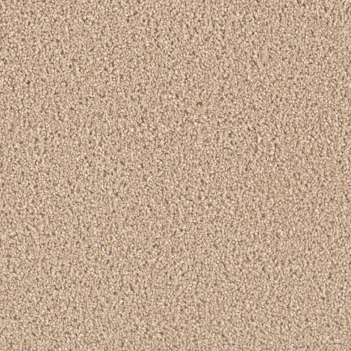 EXCEPTIONAL II - Cashmere