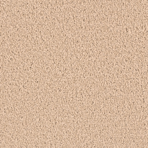 EXCEPTIONAL II - Cookie Dough
