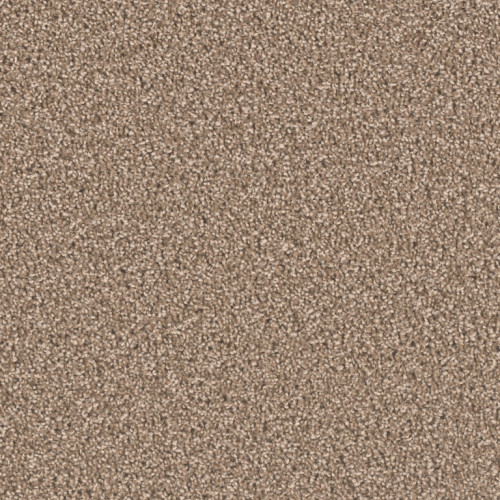 EXCEPTIONAL II - Dove