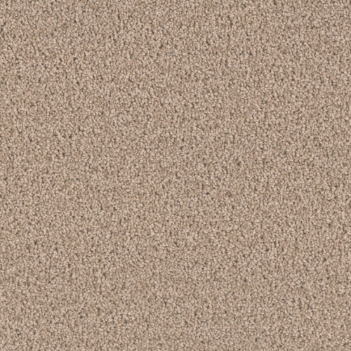 EXCEPTIONAL II - Hazlenut Cream