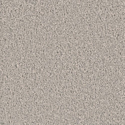 EXCEPTIONAL II - Silver Birch