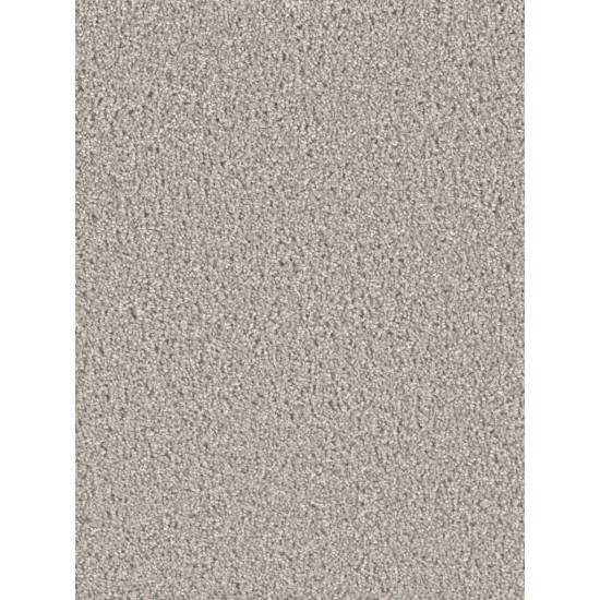 EXCEPTIONAL II - Silver Birch EXCEPTIONAL II - Silver Birch
