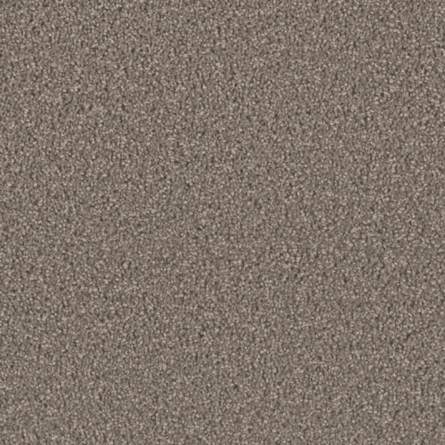 EXCEPTIONAL II - Riverbed