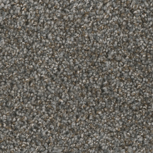 JACKSON HOLE I - Night Shade