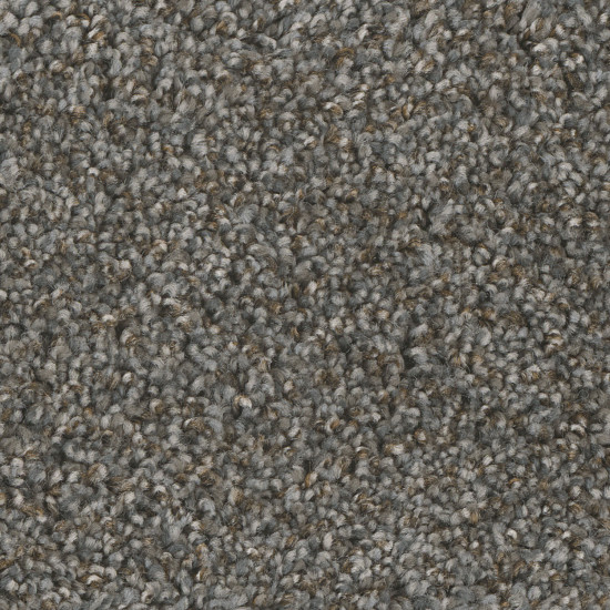 JACKSON HOLE I - Night Shade JACKSON HOLE I - Night Shade
