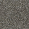 JACKSON HOLE I - Night Shade