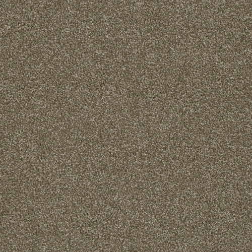LUXOR I - Quail