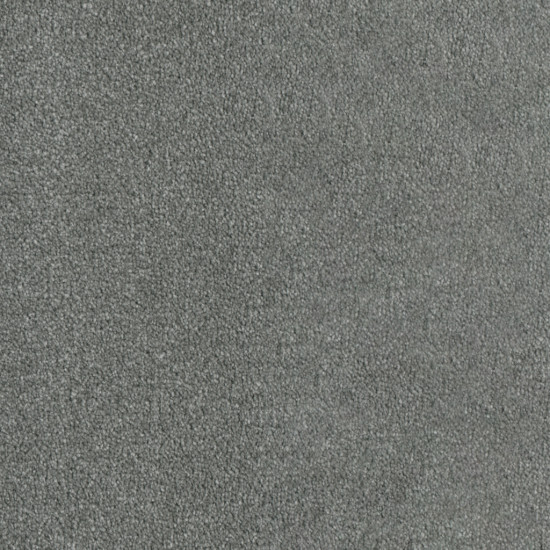 LUXOR II - Stellar LUXOR II - Stellar