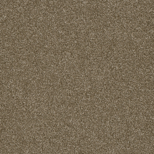 LUXOR III - Quail