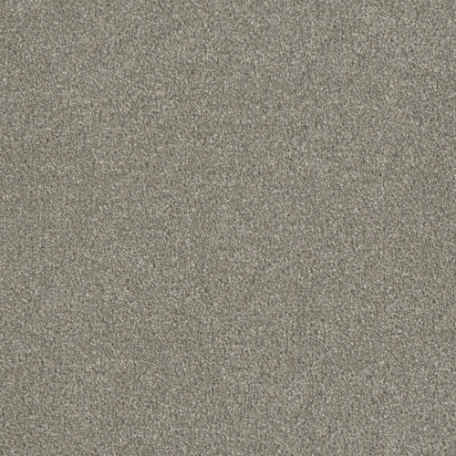 LUXOR III - Dove