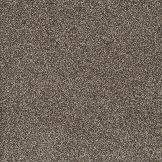 MONTE CARLO III - Fawn MONTE CARLO III - Fawn