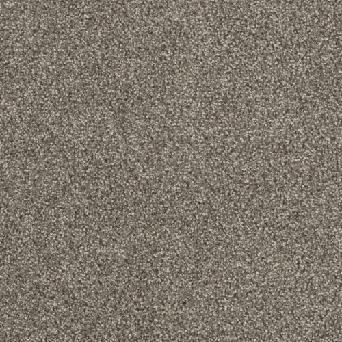 HOLLYWOOD - Baltic Birch