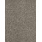 HOLLYWOOD - Baltic Birch