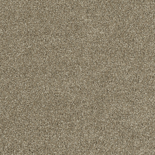 HOLLYWOOD - Sienna Sand
